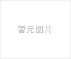 LED 射灯MR16 G10